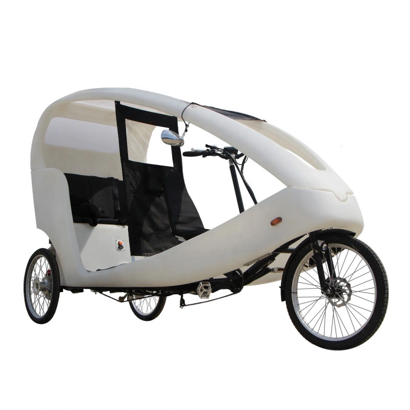 New Design Adult Electric Cargo Bike Tricycle Three Wheels Passenger Solar Car Outdoor Rickshaw Velo Taxi