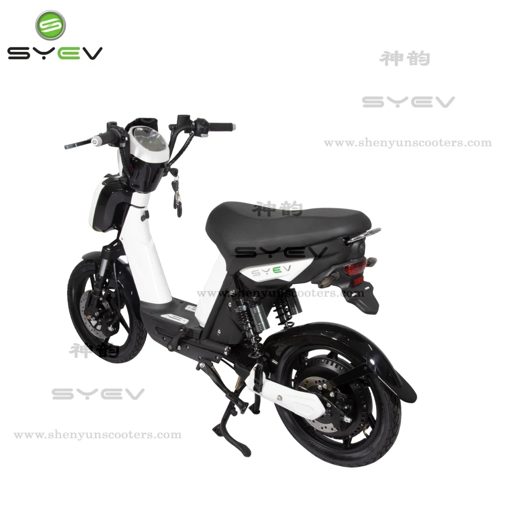 Powerful and Hot Sell Electric Scooter Lithium Battery/Lead Acid 800W Brushless DC Motor 40km/H