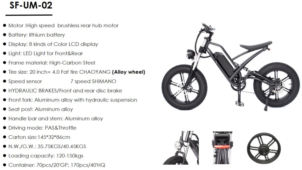 MID Drive Bafang Motor 7-Speed MTB Fat Tire off Road Electric Mountain Full Suspension Snow Cruiser E Bike with Lithium Battery