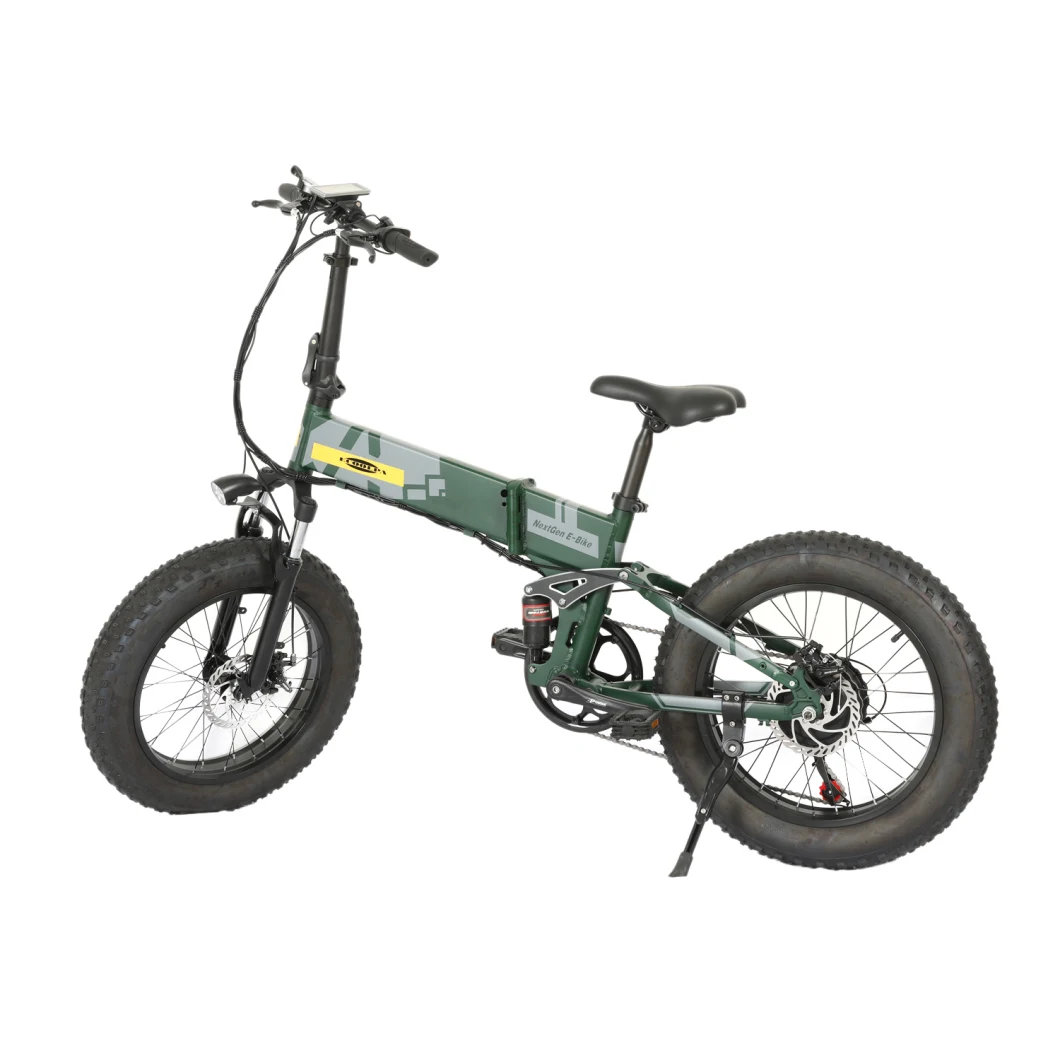 Adult 20inch Folding Electric Mountian Bike with 500W Motor Double Disc Brake Front Suspension