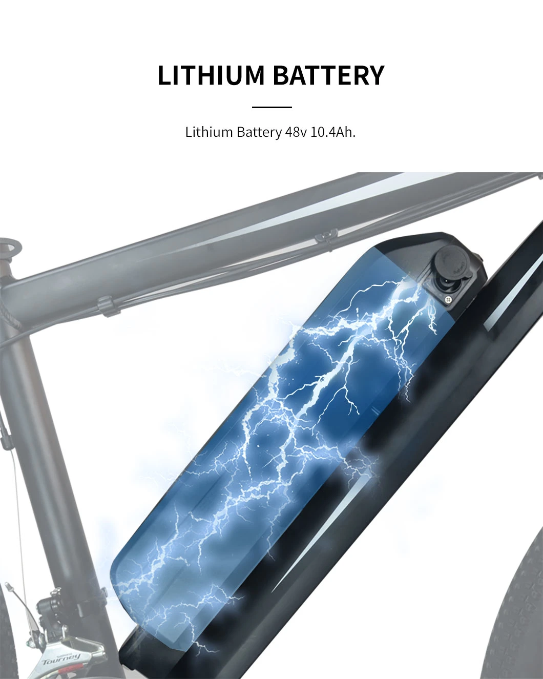 36V Lithium Battery Electrical Bike Brushless Motor E-Cycle