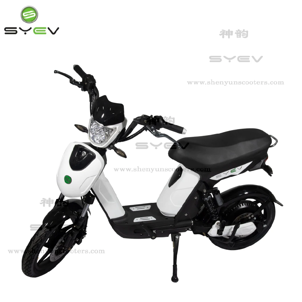 Powerful and Hot Sell Electric Scooter Lithium Battery/Lead Acid 800W Brushless DC Motor 40km/H