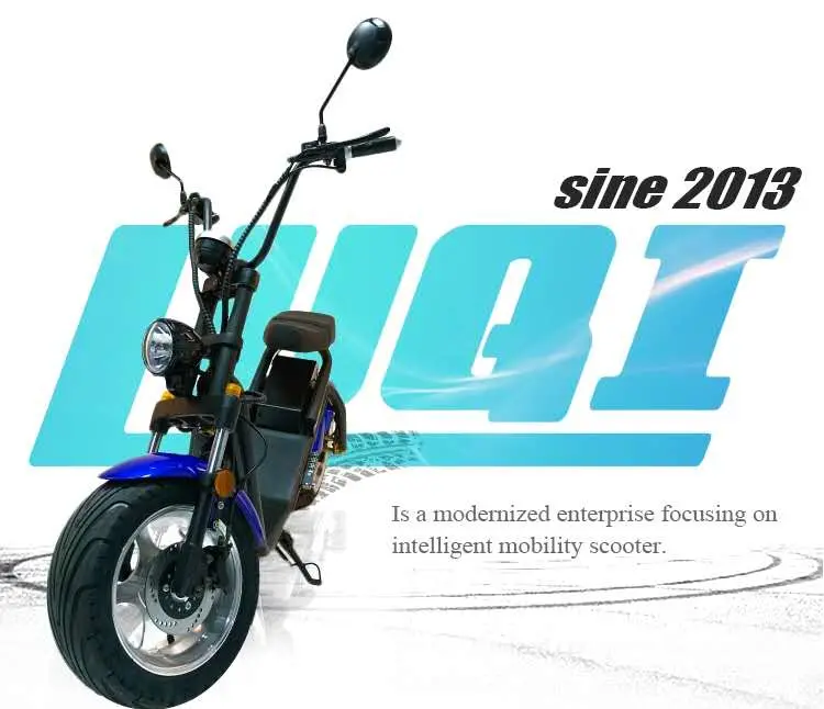 High Speed Big Power 4000W Portable 2 Wheel Electric Scooter Citycoco Made in China