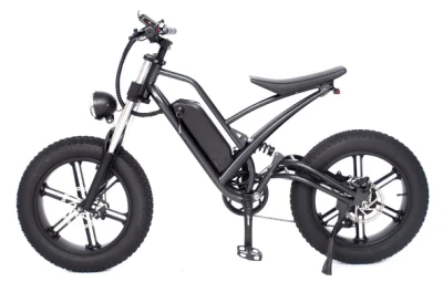 MID 드라이브 Bafang 모터 7-Gang MTB 지방 타이어 오프로드 전기 산 풀 서스펜션 스노우 크루저 E 자전거 mit 리튬 배터리