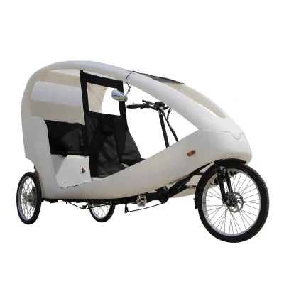 새로운 디자인 성인 전기 화물 자전거 세발자전거 3개의 바퀴 여객 태양열 자동차 야외 인력거 Velo 택시