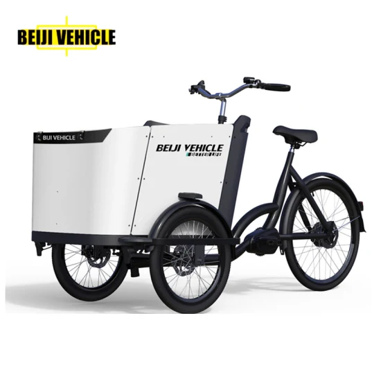 공장 가격 36V/19.2Ah 리튬 배터리 화물 배달 자전거 알루미늄 프레임 어린이 운반을 위한 전기 화물 자전거