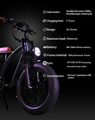 전기 자전거 고품질 20인치 듀얼 허브 1000W 모터, 20