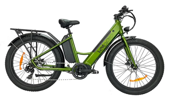 색상 일치 500W 듀얼 배터리 지방 타이어 전기 산악 자전거