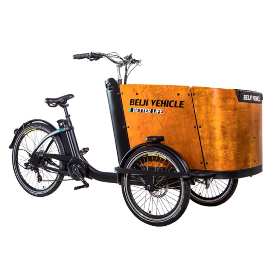 강철 프레임과 방수 나무 상자가 있는 가족용 화물 세발자전거, 알루미늄 자전거 프레임, 전기 3륜 화물 자전거 판매