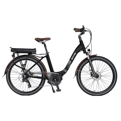 중국 도매 전기 도시 자전거 탄소 섬유 알루미늄 합금 프레임 리튬 전원 전체 서스펜션 Bicystar 도시 전기 자전거 판매