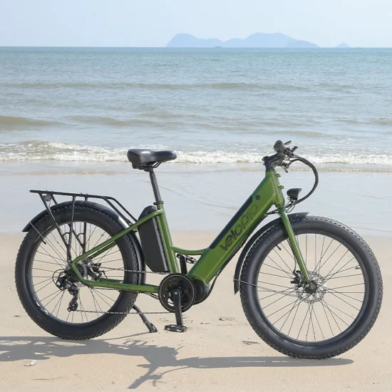 48V 500W 전기 도시 자전거 MID 드라이브 모터 사이클링 전기 자전거 강력한 Ebike 지방 타이어 전기 산악 자전거